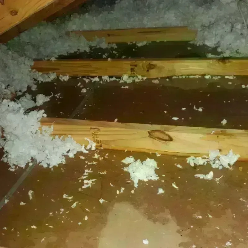 Attic Water Damage in Webster County, MS